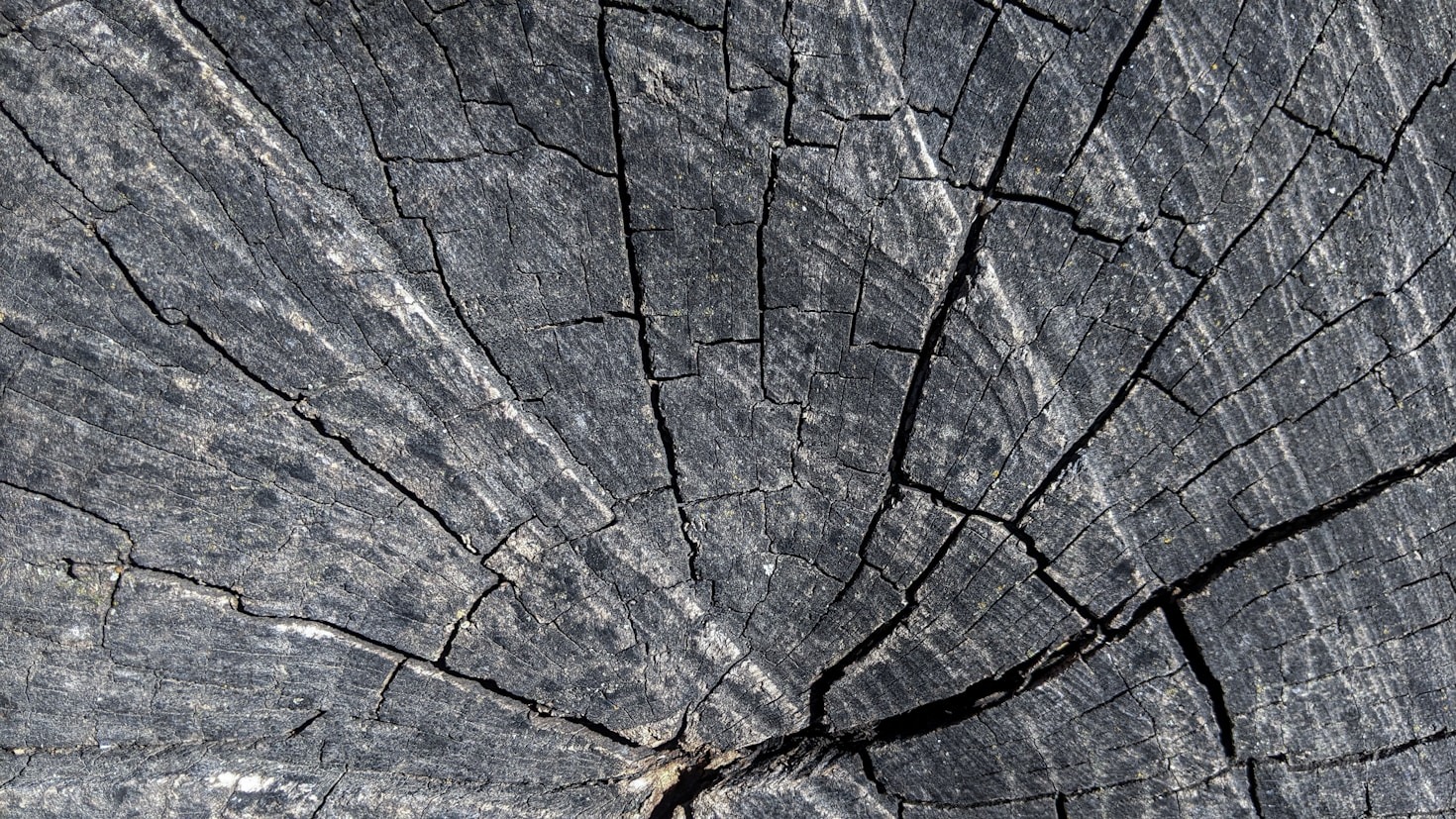 Behind The Craft Of Our Wooden Textures